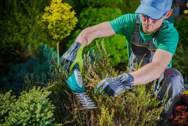 landscaping services Donaldsonville